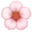 Scroll to top
